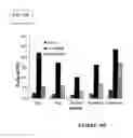 Fig. 13 - Sensitive and rapid methods of using chimeric receptors to identify autoimmune disease and assess disease severity