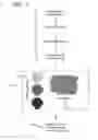 Fig. 03 - Calibration Standards For Digital Histocytometry