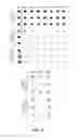 Fig. 03 - Protein binding domains stabilizing functional conformational states of GPCRs and uses thereof