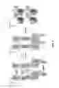 Fig. 14 - Protein binding domains stabilizing functional conformational states of GPCRs and uses thereof