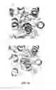 Fig. 17 - Protein binding domains stabilizing functional conformational states of GPCRs and uses thereof