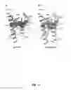 Fig. 18 - Protein binding domains stabilizing functional conformational states of GPCRs and uses thereof