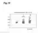 Fig. 19 - Method for Discriminating Symptom of Hepatic Disease