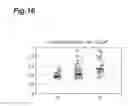 Fig. 20 - Method for Discriminating Symptom of Hepatic Disease