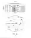 Fig. 07 - Positioning system and method for positioning
