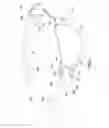 Fig. 02 - SCREWLESS EYEGLASS STRUCTURE