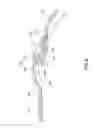 Fig. 07 - SCREWLESS EYEGLASS STRUCTURE