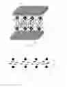 Fig. 02 - Liquid crystal display device, liquid crystal display module and liquid crystal cell thereof