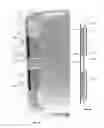 Fig. 02 - Securing a touch sensor assembly for a touch button