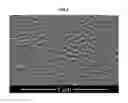 Fig. 06 - Curved liquid crystal display