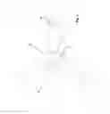 Fig. 02 - Maneuver element incorporating locking means