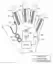 Fig. 01 - Wearable wireless HMI device
