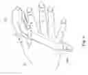 Fig. 08 - System and method for detecting hand gesture