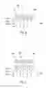 Fig. 05 - Decimal and binary floating point rounding