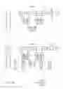 Fig. 04 - Execution of data-parallel programs on coarse-grained reconfigurable architecture hardware