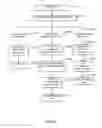 Fig. 05 - Entity display priority in a distributed geographic information system