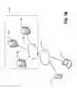 Fig. 03 - Finite state machine distributed ledger