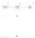 Fig. 07 - Database processing method, apparatus, and electronic device