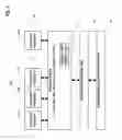 Fig. 06 - Sort-merge band join optimization