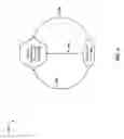 Fig. 05 - ADAPTING AN APPLICATION BASED ON MOOD AND BIOMETRICS