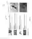 Fig. 06 - Machine Learning-Based Data Aggregation Using Social Media Content
