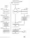 Fig. 07 - Method and system for managing and tracking content dissemination in an enterprise