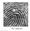 Fig. 02 - FINGERPRINT SENSOR AND FINGERPRINT RECOGNITION METHOD THEREOF