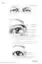 Fig. 32 - Facial identification techniques