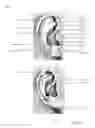 Fig. 35 - Facial identification techniques