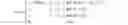 Fig. 07 - Value bill identifying method