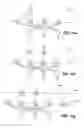 Fig. 13 - Neural network, computer readable medium, and methods including a method for training a neural network