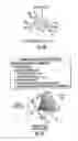 Fig. 08 - Integrated system for sales, installation, and maintenance of building systems