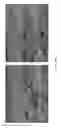 Fig. 23 - DEVICE AND A METHOD FOR CREATING AN IMAGE