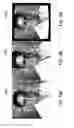 Fig. 13 - Lens distortion correction using a neurosynaptic circuit