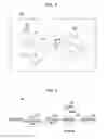 Fig. 08 - Method and system for generating integral image marker