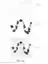 Fig. 11 - Interactive generation of procedural ornaments