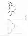 Fig. 12 - Interactive generation of procedural ornaments