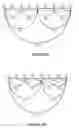 Fig. 12 - ANIMATING A VIRTUAL OBJECT