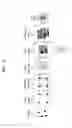 Fig. 03 - METHOD AND APPARATUS FOR PROCESSING IMAGE DATA
