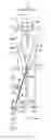 Fig. 01 - CENTERLINE FACE-FORWARD METHOD OF PUTTING