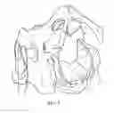 Fig. 06 - Pelvic model