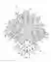 Fig. 04 - ARTICLE WITH REMOVABLE THREE-DIMENSIONAL OBJECT