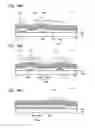 Fig. 35 - Display device and electronic device