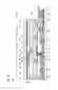 Fig. 62 - Display device and electronic device