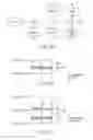 Fig. 22 - Resistance change memory