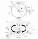 Fig. 03 - Cyclic nuclear fusion with single-cycle, charged cathode
