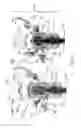 Fig. 19 - Production of molybdenum-99 using electron beams