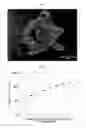 Fig. 05 - STRETCHABLE CONDUCTIVE FIBER AND METHOD OF MANUFACTURING THE SAME