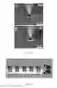 Fig. 19 - Temperature sensitive system
