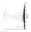 Fig. 25 - Methods for mass spectrometry of mixtures of proteins or polypeptides using proton transfer reaction